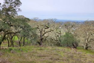 Residential Lot,  Holland drive, Santa Rosa, CA 95404 - 6