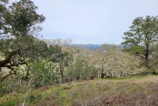 Residential Lot,  Holland drive, Santa Rosa, CA 95404 - 8