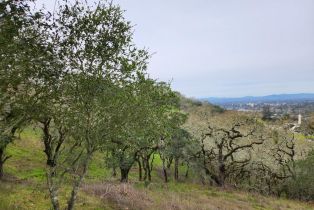 Residential Lot,  Holland drive, Santa Rosa, CA 95404 - 4