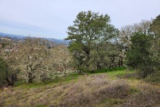 Residential Lot,  Holland drive, Santa Rosa, CA 95404 - 7