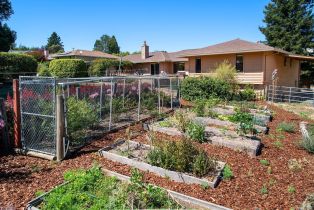 Single Family Residence,  Balma lane, Petaluma, CA 94952 - 35