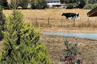 Single Family Residence,  Balma lane, Petaluma, CA 94952 - 50