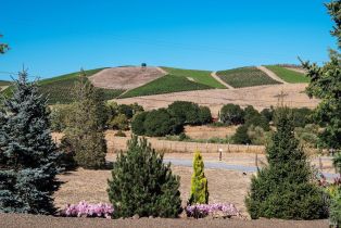 Single Family Residence,  Balma lane, Petaluma, CA 94952 - 23