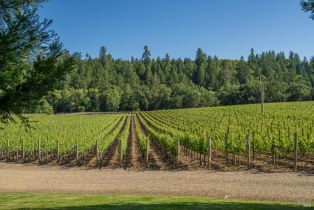 Single Family Residence,  Franz Valley road, Calistoga, CA 94515 - 38