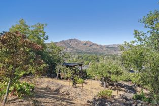 Single Family Residence,  Oak Vista drive, Santa Rosa, CA 95409 - 45