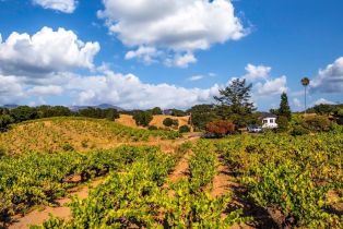 Agriculture,  Dutcher Creek road, Cloverdale, CA 95425 - 34