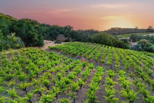 Agriculture,  Dutcher Creek road, Cloverdale, CA 95425 - 45