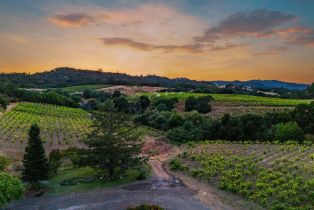 Agriculture,  Dutcher Creek road, Cloverdale, CA 95425 - 36