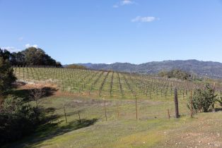 Agriculture,  Dutcher Creek road, Cloverdale, CA 95425 - 10