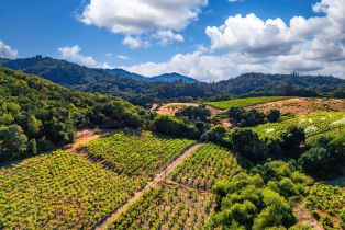 Agriculture,  Dutcher Creek road, Cloverdale, CA 95425 - 27