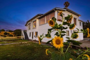 Agriculture,  Dutcher Creek road, Cloverdale, CA 95425 - 41