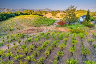 Agriculture,  Dutcher Creek road, Cloverdale, CA 95425 - 32