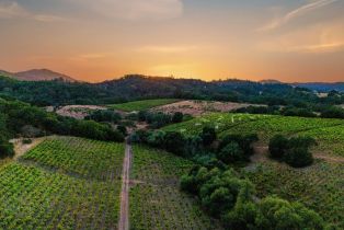 Agriculture,  Dutcher Creek road, Cloverdale, CA 95425 - 35