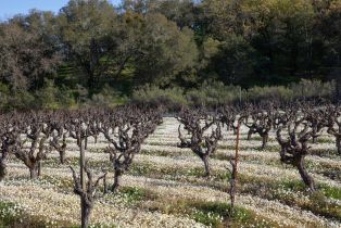 Agriculture,  Dutcher Creek road, Cloverdale, CA 95425 - 7