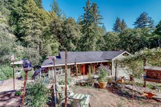 Single Family Residence,  Calistoga road, Santa Rosa, CA 95404 - 48