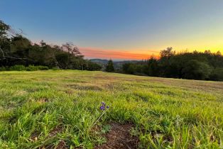 Residential Acreage, 2095 Mark West Springs road, Santa Rosa, CA 95404 - 5