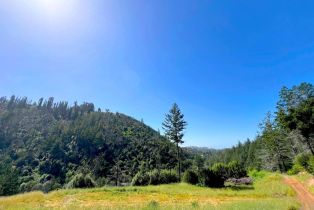 Residential Acreage, 2095 Mark West Springs road, Santa Rosa, CA 95404 - 3