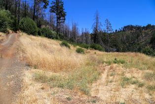 Residential Acreage, 2095 Mark West Springs road, Santa Rosa, CA 95404 - 33