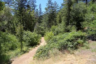 Residential Acreage, 2095 Mark West Springs road, Santa Rosa, CA 95404 - 38