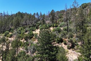 Residential Acreage, 2095 Mark West Springs road, Santa Rosa, CA 95404 - 54