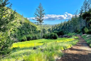 Residential Acreage, 2095 Mark West Springs road, Santa Rosa, CA 95404 - 4