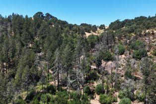 Residential Acreage, 2095 Mark West Springs road, Santa Rosa, CA 95404 - 56