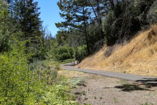 Residential Acreage, 2095 Mark West Springs road, Santa Rosa, CA 95404 - 42