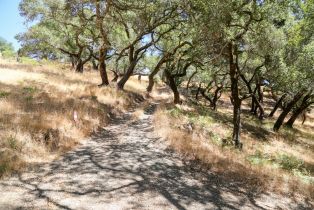 Residential Acreage, 2095 Mark West Springs road, Santa Rosa, CA 95404 - 20