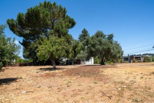 Residential Lot,  University street, Healdsburg, CA 95448 - 2