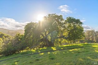 Residential Lot,  Augusta circle, Petaluma, CA 94952 - 11