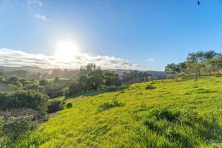 Residential Lot,  Augusta circle, Petaluma, CA 94952 - 8