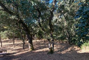 Single Family Residence, 200-250 Napa Rd, Sonoma, CA  Sonoma, CA 95476