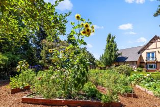 Single Family Residence,  3rd avenue, Napa, CA 94558 - 67