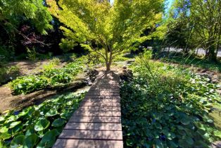 Single Family Residence,  3rd avenue, Napa, CA 94558 - 82