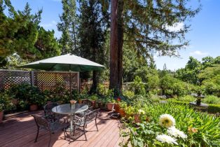 Single Family Residence,  3rd avenue, Napa, CA 94558 - 59