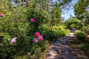 Single Family Residence,  3rd avenue, Napa, CA 94558 - 77