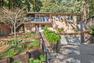 Single Family Residence,  Hwy 116 highway, Russian River, CA 95462 - 41