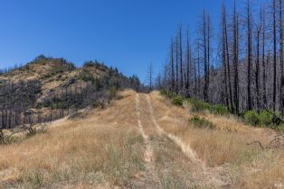 Residential Acreage,  St Helena road, Santa Rosa, CA 95404 - 24