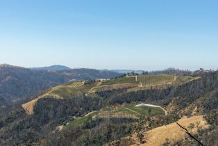 Residential Acreage,  St Helena road, Santa Rosa, CA 95404 - 46