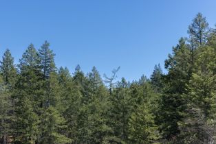 Residential Acreage,  St Helena road, Santa Rosa, CA 95404 - 30