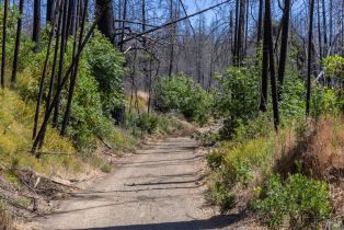 Residential Acreage,  St Helena road, Santa Rosa, CA 95404 - 41