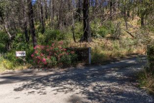 Residential Acreage,  St Helena road, Santa Rosa, CA 95404 - 42