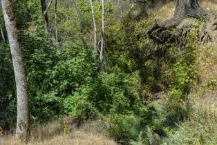 Residential Acreage,  St Helena road, Santa Rosa, CA 95404 - 27