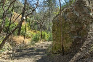 Residential Acreage,  St Helena road, Santa Rosa, CA 95404 - 21