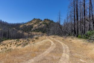 Residential Acreage,  St Helena road, Santa Rosa, CA 95404 - 20