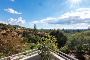 Single Family Residence,  Canyon drive, Napa, CA 94558 - 45