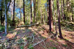 Residential Lot,  Rust court, Jenner, CA 95450 - 22