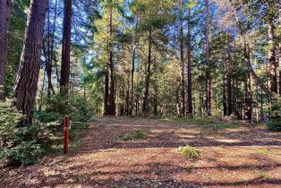 Residential Lot,  Rust court, Jenner, CA 95450 - 6