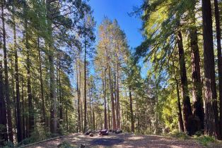 Residential Lot,  Rust court, Jenner, CA 95450 - 17