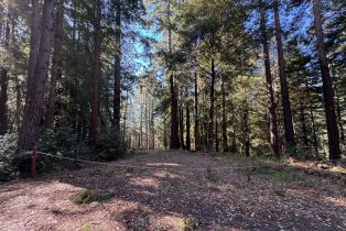 Residential Lot,  Rust court, Jenner, CA 95450 - 8